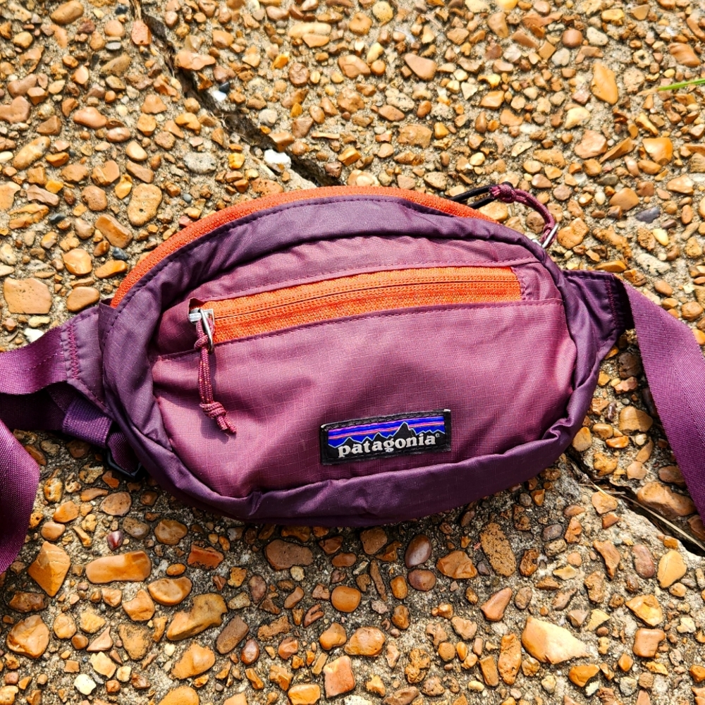 Patagonia Fanny Pack